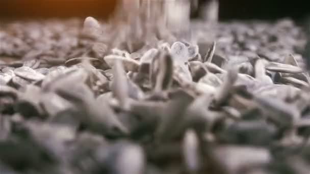 Outras Sementes Girassol Retiradas Sobre Montão Sementes Câmera Lenta Close — Vídeo de Stock