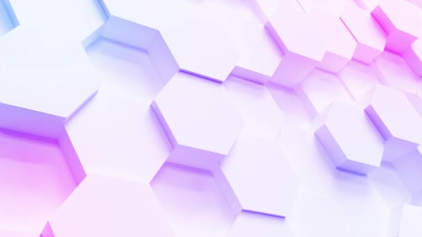 Technology Hexagon Pattern Background — Stock Video