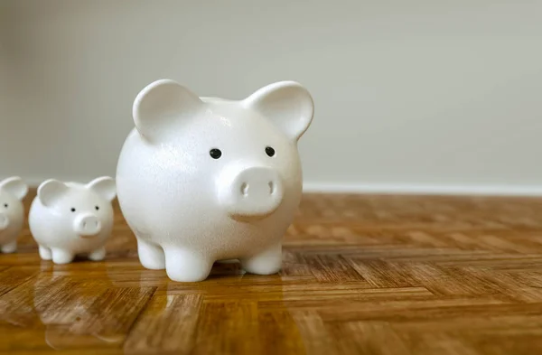 Piggy Bank Cor Como Líder Linha Para Direção Certa Riqueza — Fotografia de Stock