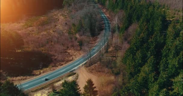 Antenn Topputsikt Mountain Forest Road — Stockvideo