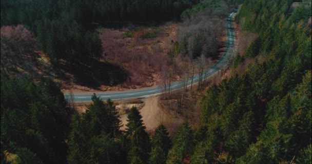 Aerial Top View Mountain Forest Road — Stock Video