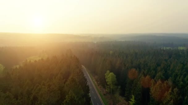 Luftaufnahme Von Oben Auf Der Bergwaldstraße — Stockvideo