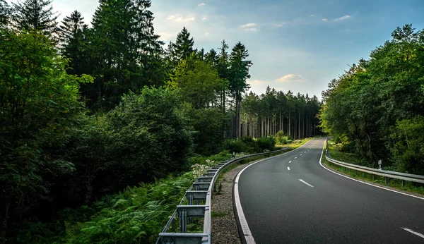 Longa estrada da floresta curvilínea nas montanhas alpinas — Fotografia de Stock