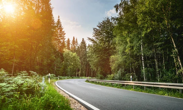 Long Curvy Forest Road In Alpine Mountains — Stock Photo, Image