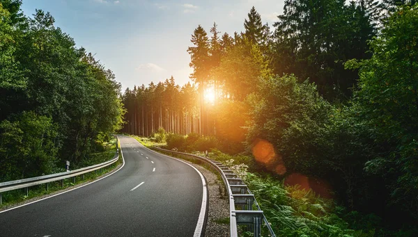 Dlouhá zakřivená lesní cesta v alpských horách — Stock fotografie