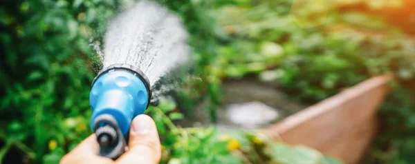 Unrecognisable Man Watering Flower Bed Using Watering Can Gardening Hobby — Stock Photo, Image