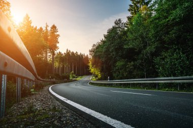 Alp Dağları 'ndaki Uzun Kavisli Orman Yolu 