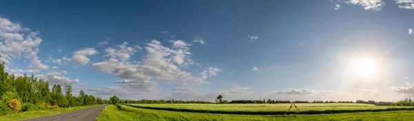 Baharda Yeşil Tarlaların Üzerinde Bulutlu Mavi Gökyüzü Güzel Parlak Güneş — Stok fotoğraf