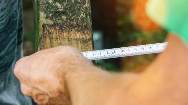 Versatile Craftsman Working Wood Build House Summer Day Diy Concept — Stock Photo, Image