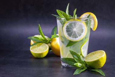 Bir bardak nane ile soğuk ferahlatıcı yaz limonata