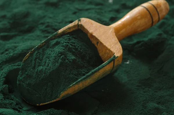 Organic Spirulina Proszku Spirulina Jest Pożywienie Używane Jako Źródło Pokarmu — Zdjęcie stockowe