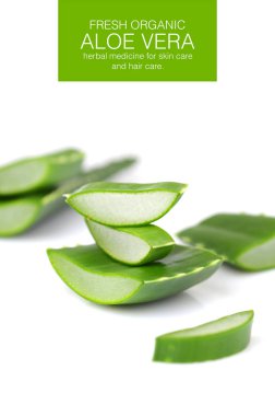 Aloe Vera beyaz arkaplanda izole bir şekilde bırakır