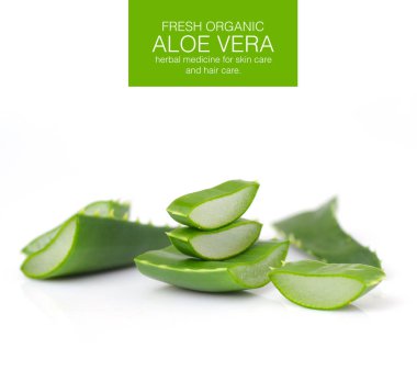 Aloe Vera beyaz arkaplanda izole bir şekilde bırakır