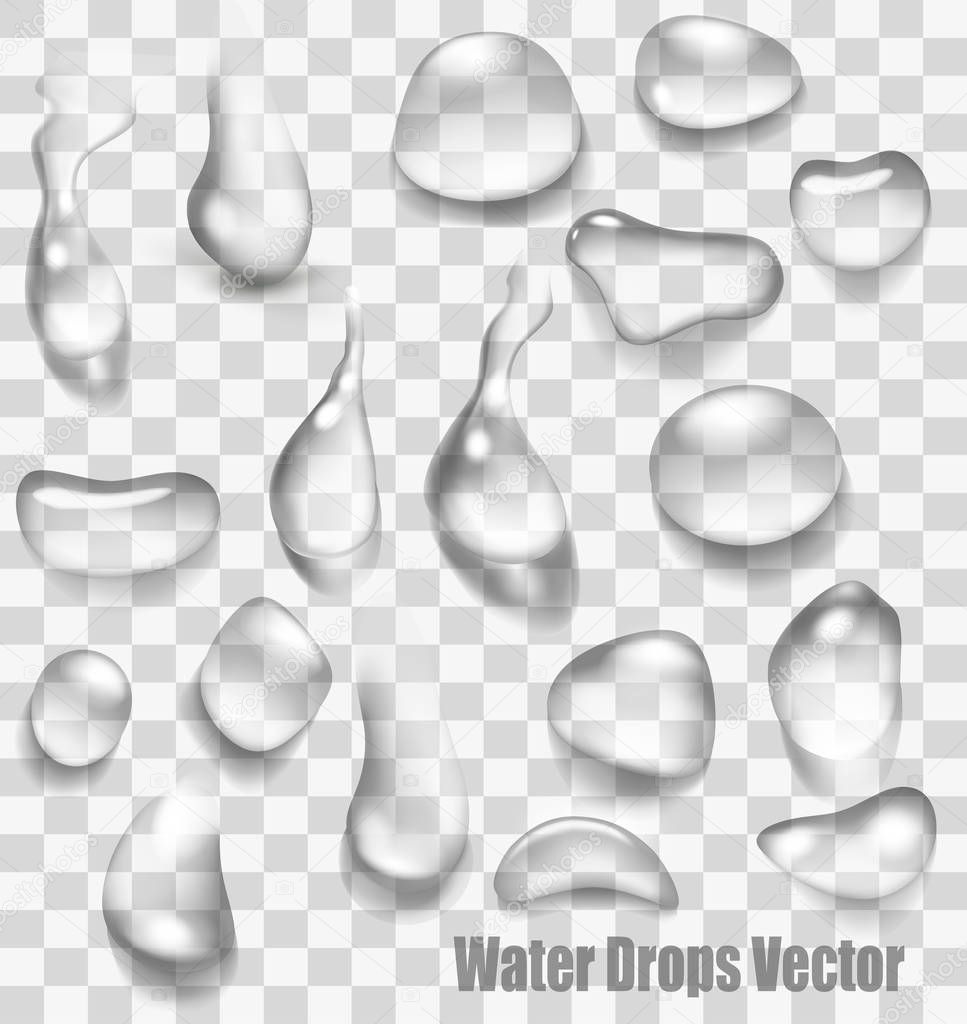 Drops of water on a transparent background. Vector.