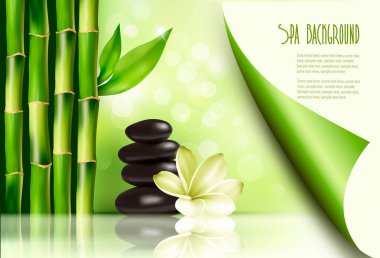 Spa arka plan bambu ve taşlar. vektör çizim. 
