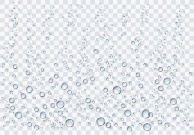 Realistic water droplets on the transparent background. Vector illustration clipart