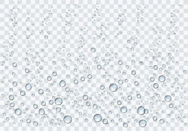 Gotas Agua Realistas Sobre Fondo Transparente Ilustración Vectorial — Archivo Imágenes Vectoriales