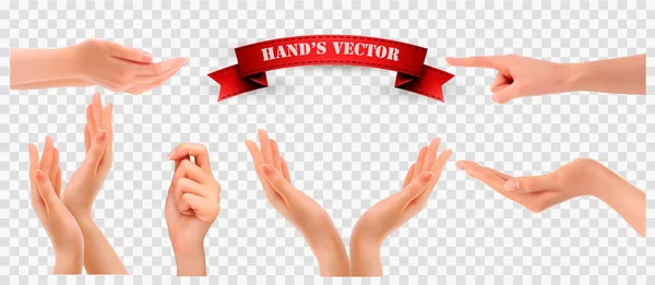 Set Hands Transparent Background Vector — Stock Vector