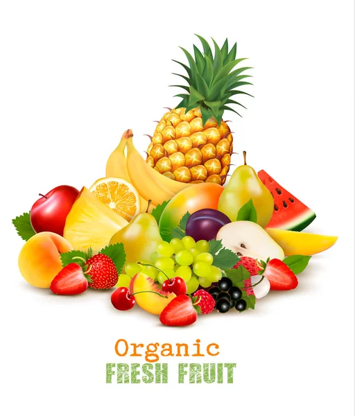 Grande Coleção Frutas Frescas Orgânicas Diferentes Vetor — Vetor de Stock