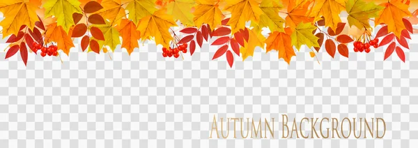 透明な背景ベクトルにカラフルな葉を持つ抽象的な秋のパノラマ — ストックベクタ