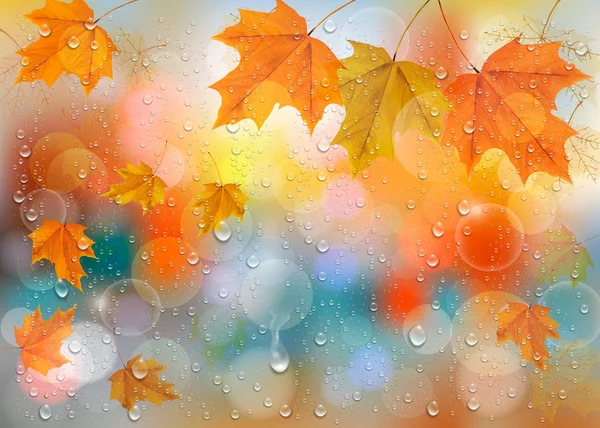 Jesienią Kolorowe Tła Liści Krople Deszczu Oknie Tło Wektor Wektor — Wektor stockowy