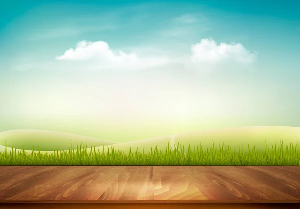 Fondo Natural Con Cubierta Madera Frente Hierba Verde Cielo Azul — Vector de stock