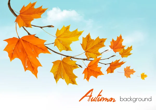 Herbst Natur Hintergrund Mit Bunten Blättern Und Tropfen Vektorillustration — Stockvektor