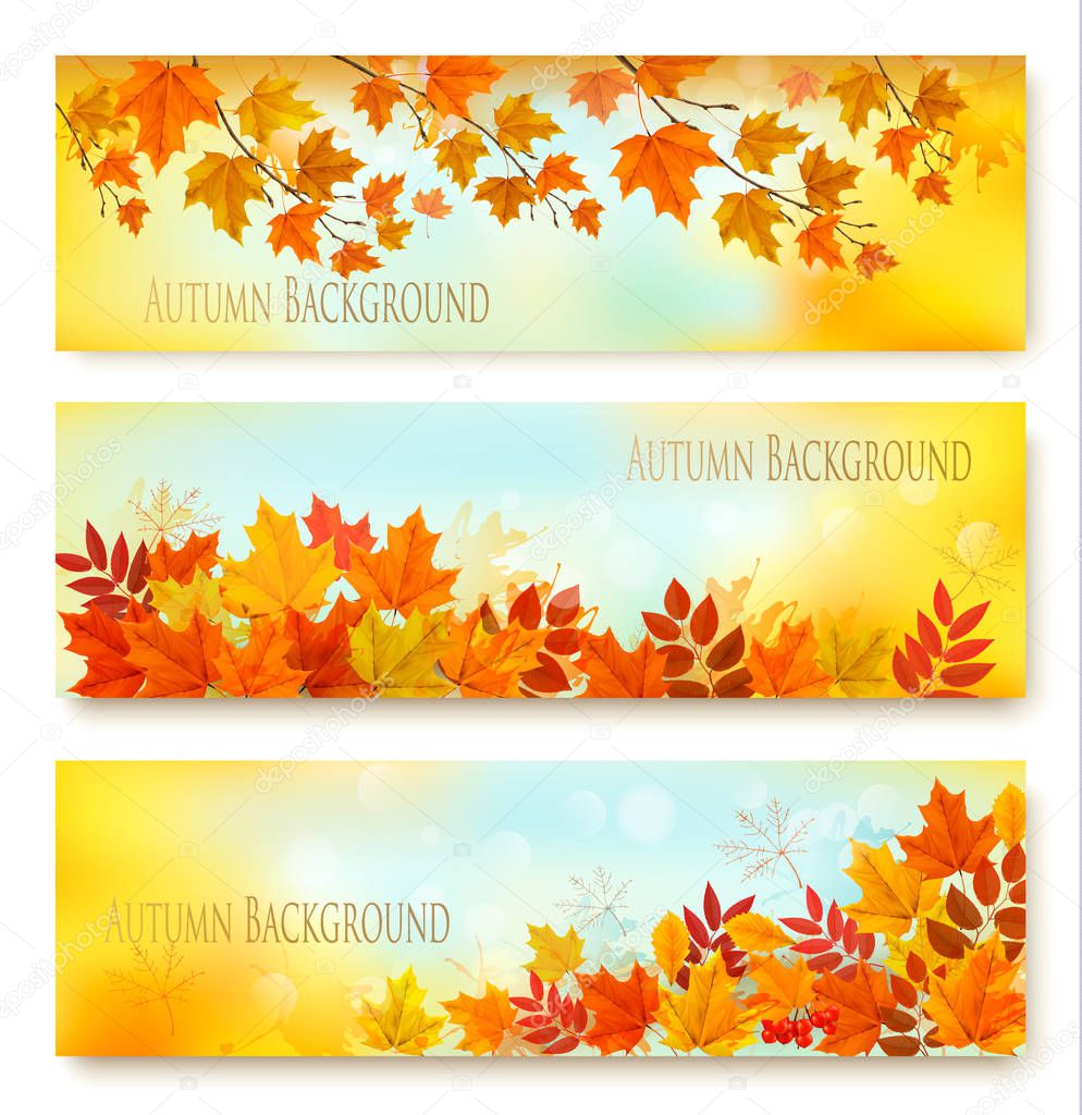 Three Autumn Nature Banners With Colorful Leaves. Layered Vector