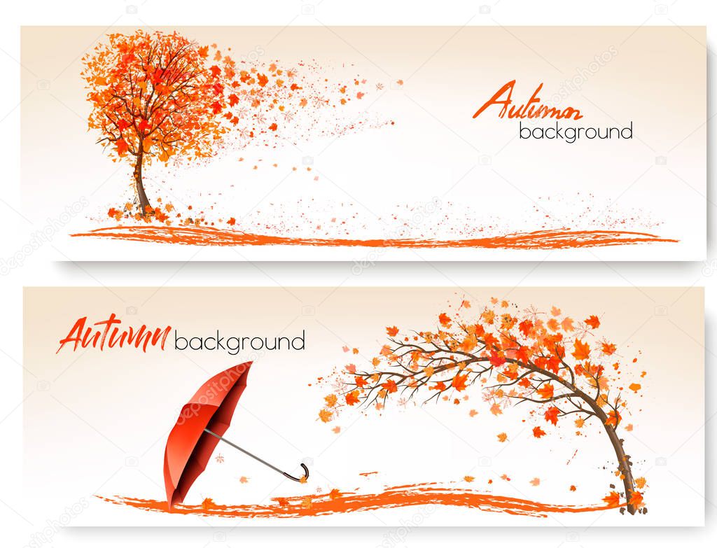 Two Autumn Banners With Trees and Umbrella. Vector.