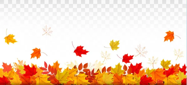 Autumn Nature Panorama Colorful Leaves Vector — Stock Vector