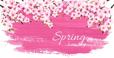 Bahar doğa arka plan ile bir pembe çiçek açan sakura. Vektör.