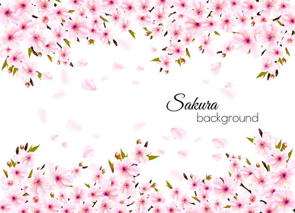 Branches Blossoming Sakura Background Vector — Stock Vector