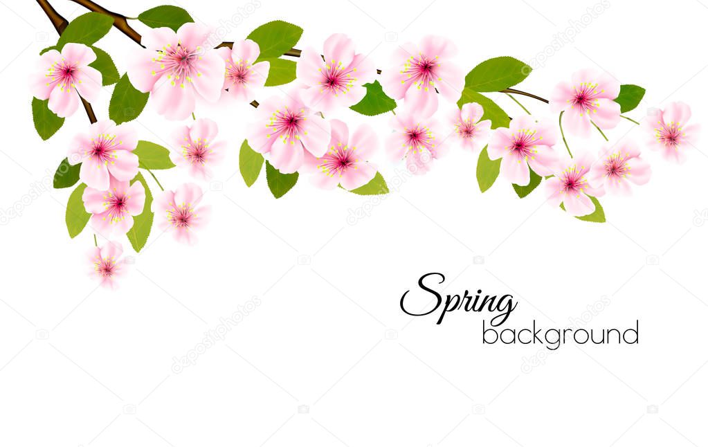 Spring nature background with a pink blooming sakura. Vector.