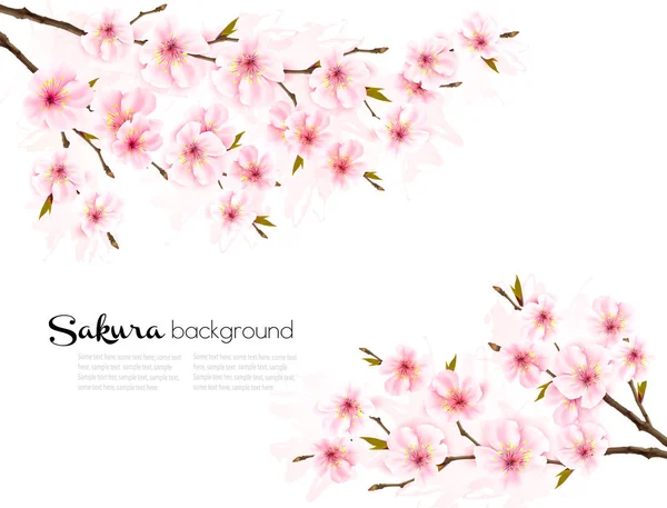 Spring Background Sakura Japan Cherry Branch Vector — Stock Vector