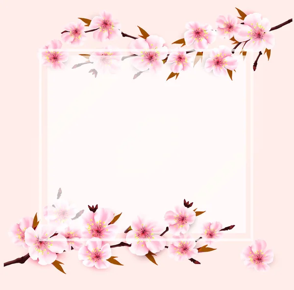 Fondo Naturaleza Primavera Con Sakura Japón Rama Cereza Vector — Vector de stock