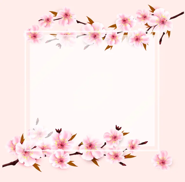 Primavera Natureza Fundo Com Sakura Japão Cereja Ramo Vetor —  Vetores de Stock