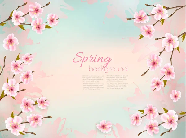 Frühling Natur Hintergrund Mit Einer Rosa Sakura Blüte Vektor — Stockvektor