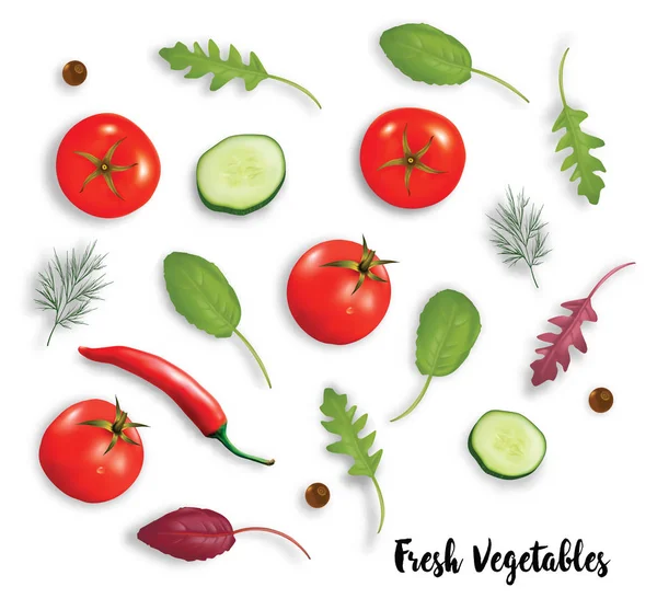 Légumes Frais Herbes Épices Isolées Sur Fond Blanc Tomates Poivre — Image vectorielle