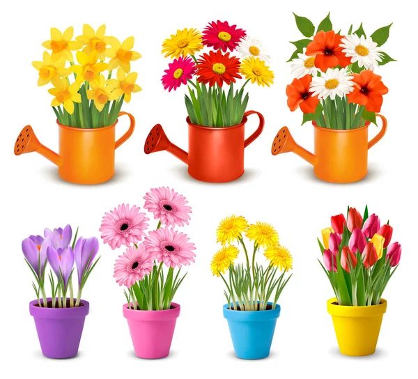 Big Collection Spring Summer Colorful Flowers Pots Vector — Stock Vector