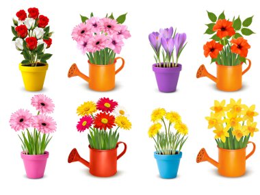 Mega collection of spring and summer colorful flowers in pots.  Vector clipart