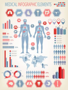 Tıbbi Infographics elemanları büyük bir dizi. İç organlarla insan vücudu. Vektör. 