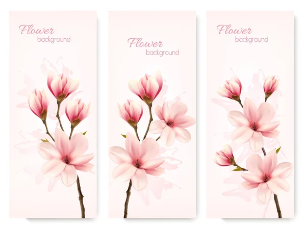 Conjunto de banderas de magnolia de flores naturales. Vector . — Vector de stock