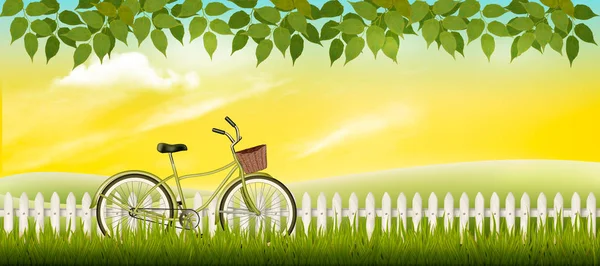 Φύση καλοκαίρι λιβάδι τοπίο με ένα ποδήλατο. Διάνυσμα. — Διανυσματικό Αρχείο