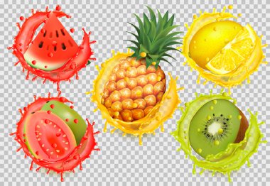 Meyve suyu sıçrama seti. Karpuz, citron, guava, ananas.