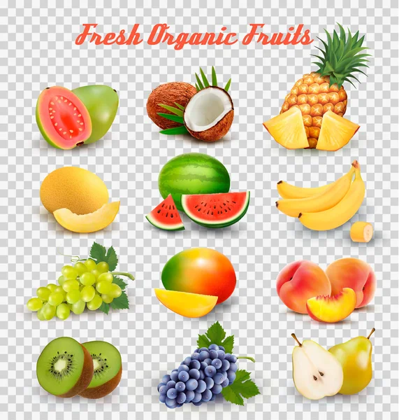 Koleksi buah dan buah-buahan. Semangka, madu, jambu, co - Stok Vektor