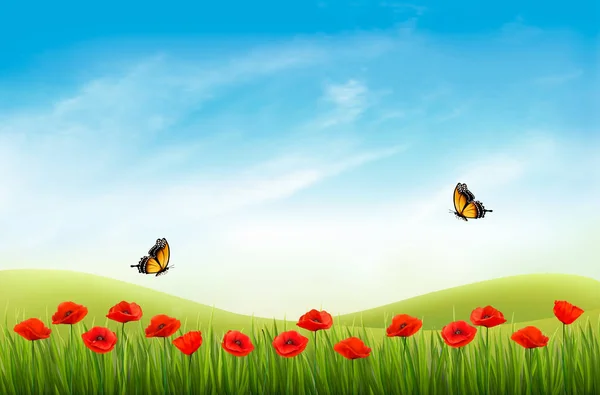 夏季自然景观背景与红色罂粟和蓝天 — 图库矢量图片