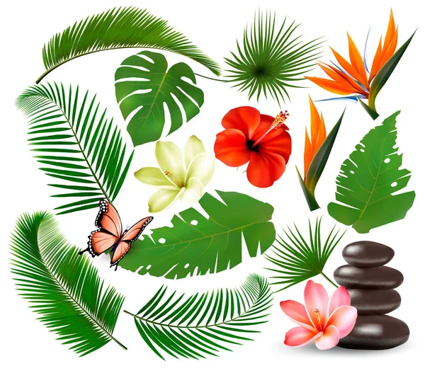 Big collection of tropical leaves and plant, flowers and butterf — Stock Vector