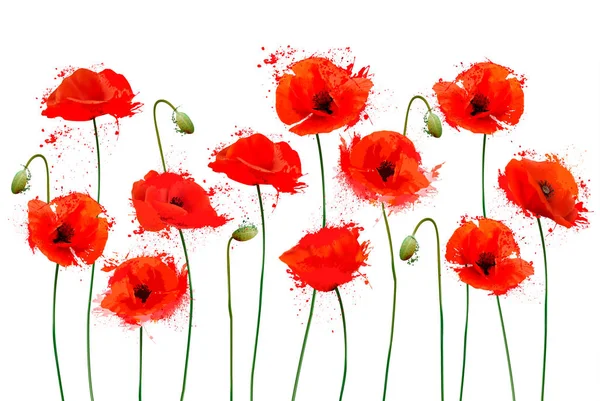 Rode papaver bloemen achtergrond. Vector illustratie — Stockvector