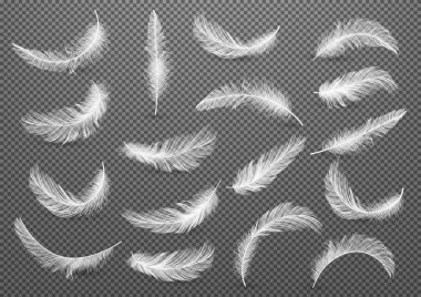 Beyaz Gerçekçi Farklı Kabarık Twirled Falling Feat Büyük seti