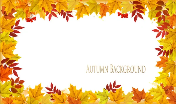 秋天的大自然秋天五彩斑斓的叶子背景. B.病媒. — 图库矢量图片